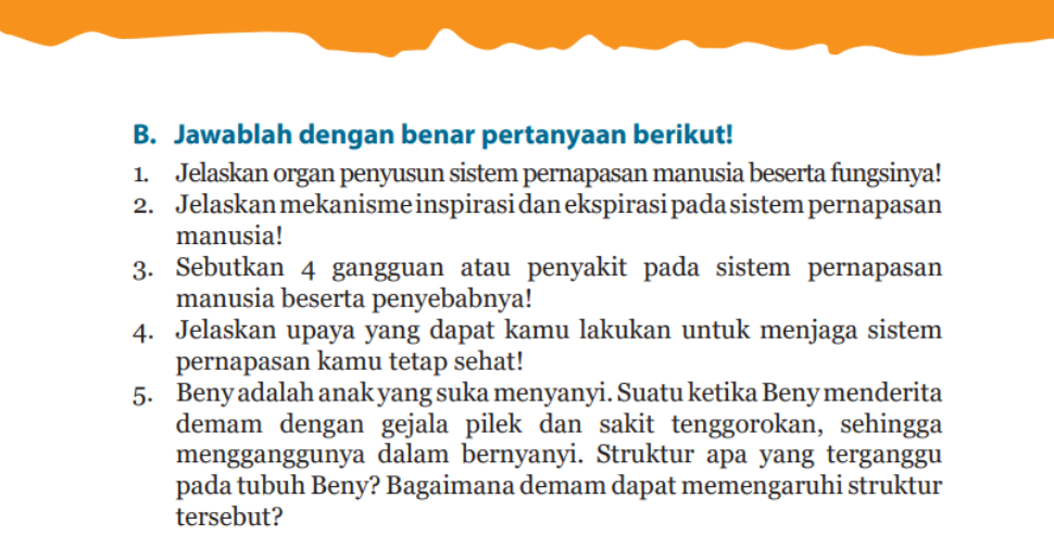 Kunci Jawaban Ipa Kelas 8 Halaman 78 Esai - Homecare24