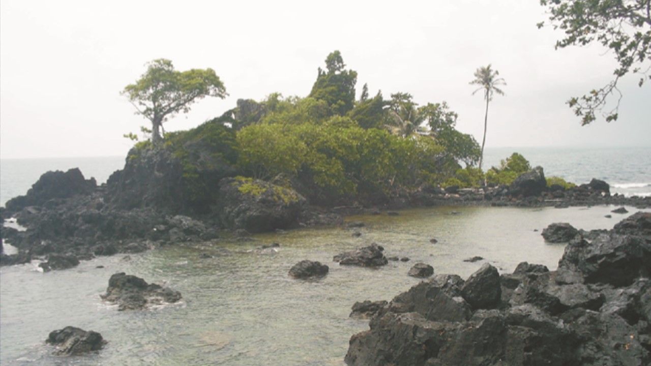 Pulau Sentut