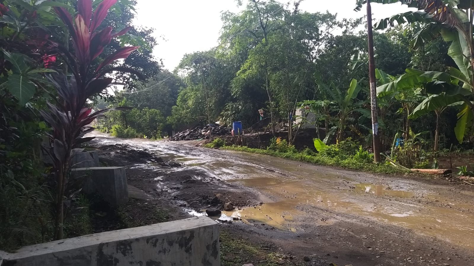 Rusak Parah! Mirip Kubangan Kerbau, Warga Keluhkan Ruas Jalan Pasar Batangan Simo Menuju Klego Boyolali