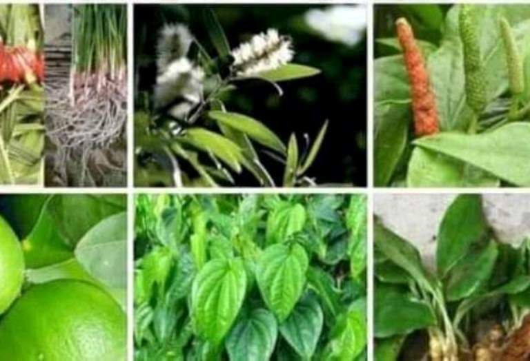 Ingin Usir Batuk Dengan Ampuh, Coba 10 Resep Obat Tradisional Alami Ini. / facebook /  Abil Nufail