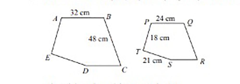 Jawaban matematika kelas 9 halaman 238