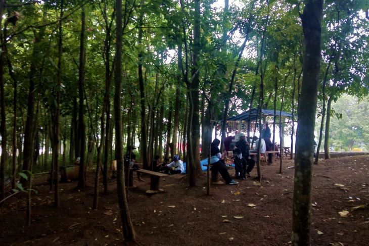 Keberadaan lahan hijau  di wilayah Bandung Utara sangat  dirasakan manfaatnya bagi masyarakat, seperti Hutan Kartini di Kelurahan Cisurupan Kecamatan Cibiru Kota Bandung hampir setiap akhir pekan ramai dikunjungi.