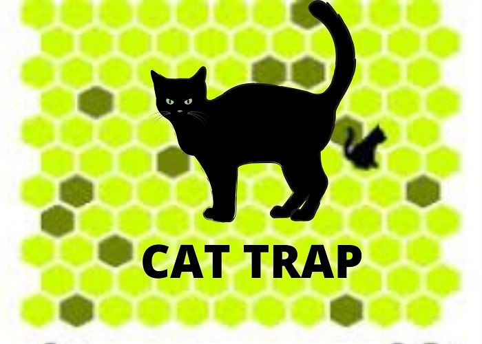 LINK DOWNLOAD Cat Trap yang Viral di TikTok, Sekarang Sudah Bisa Diunduh dari Play Store, Misi Menjebak Kucing - Kalbar Terkini
