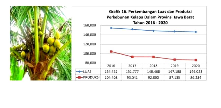 data areal dan produksi kelapa dalam di Jawa Barat