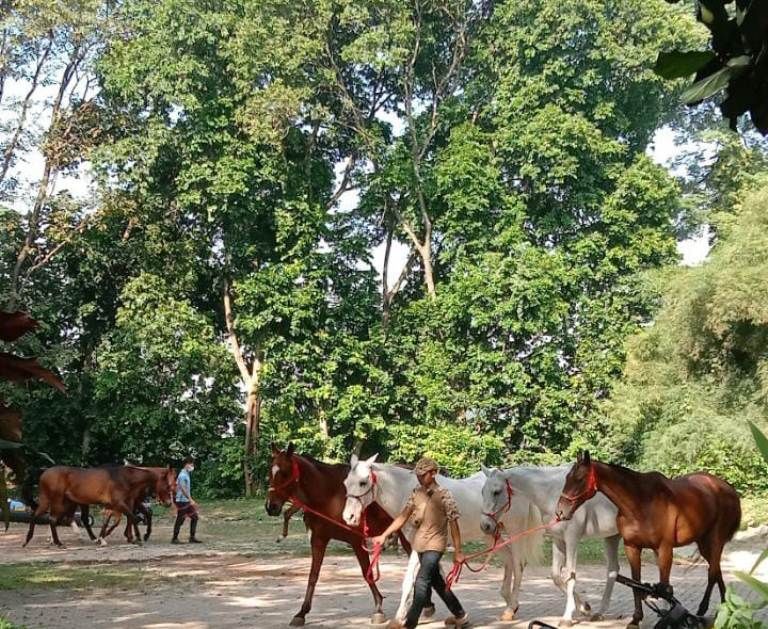 Info BMKG: Prakiraan Cuaca Hari ini, Kota Bekasi dan Kota Depok Sabtu 1 April 2023.