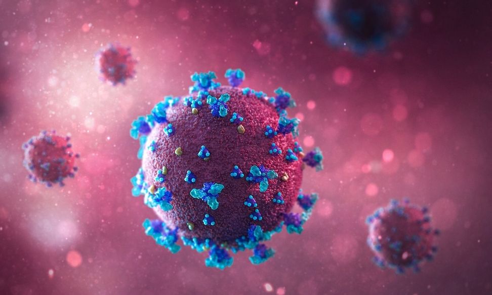istilah Endemi, Epidemi, dan Pandemi, serta apa perbedaan yang mendasar, menurut Kemendikbud// Foto ilustrasi corona virus: pixabay