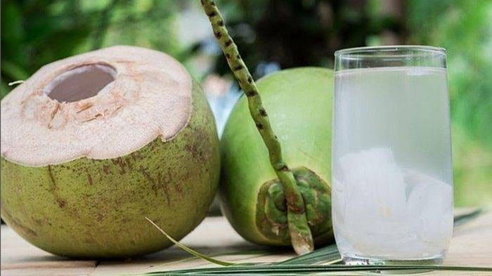 Kenali Perbedaan Kelapa Hijau Dan Kelapa Coklat Air Yang Kaya Akan Nutrisi Untuk Tubuh Gresik 4997