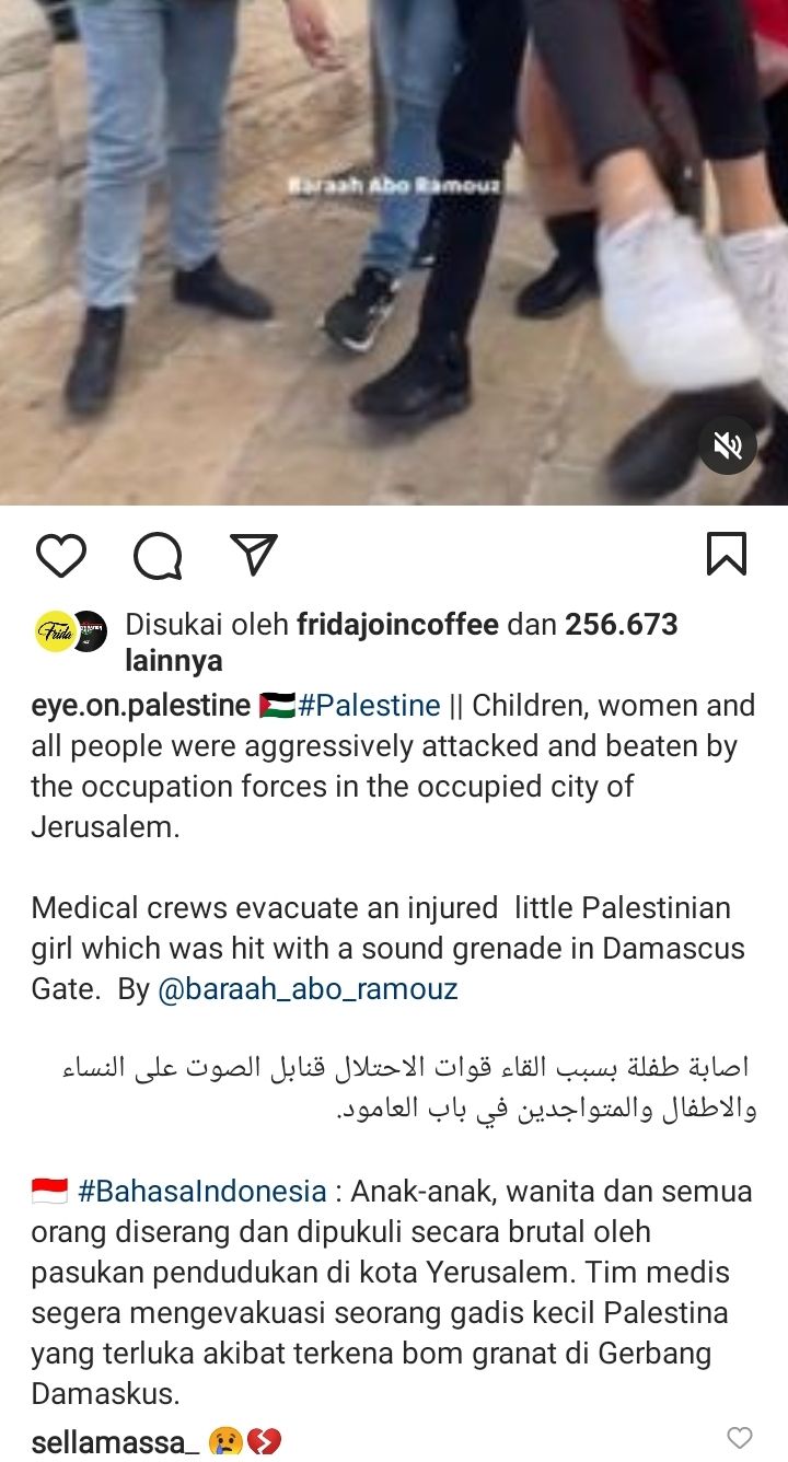 Unggahan Eye on Palestine.