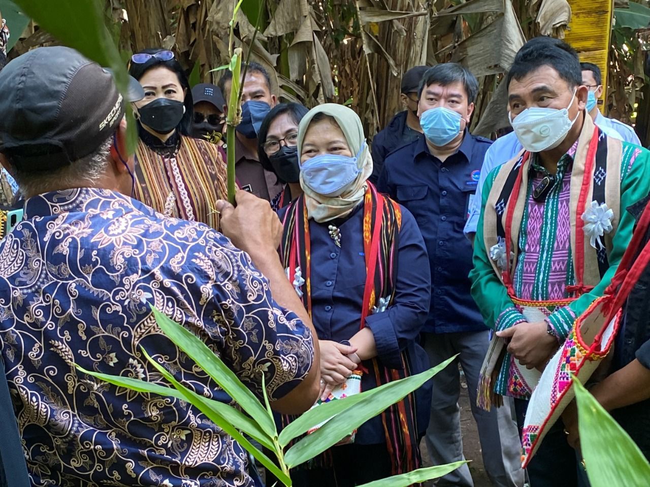 Lembaga Pengelola Dana Bergulir Koperasi, Usaha Mikro, Kecil, dan Menengah (LPDB-KUMKM) siap mendukung penuh pengembangan bisnis pemanfaatan hasil hutan bukan kayu (HHBK) bambu di Provinsi Nusa Tenggara Timur (NTT).