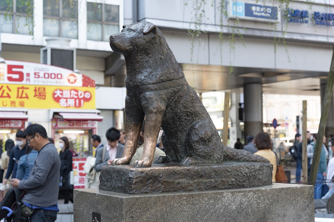 Patung Hachiko dibangun di Stasiun Shibuya, Jepang. /Pixabay/Nick115