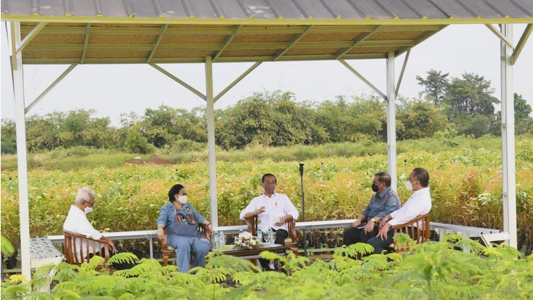 Presiden Joko Widodo meninjau langsung Persemaian Modern Rumpin, Kecamatan Rumpin, Kabupaten Bogor, Jawa Barat, pada Kamis, 10 Maret 2022. Foto: BPMI Setpres/Rusman.