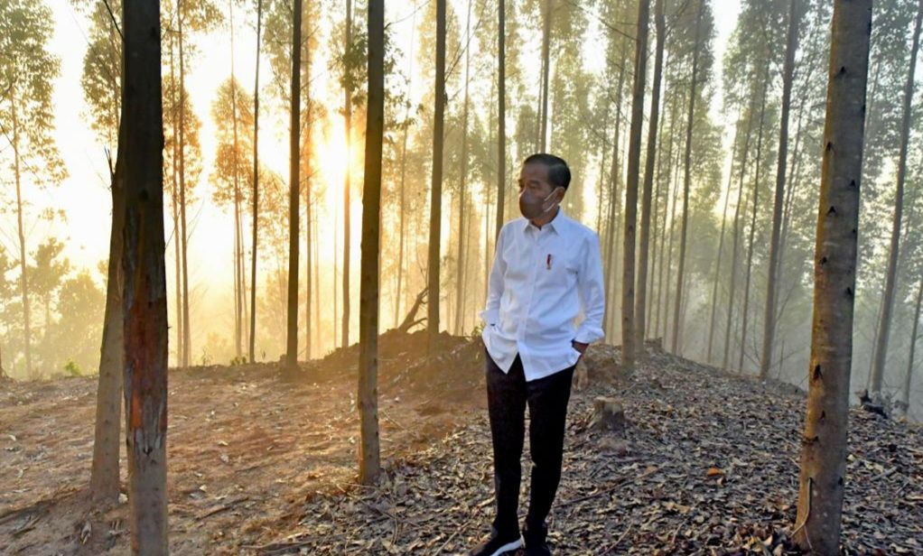 Presiden Jokowi di titik nol kilometer, dinilai sedang membangun politik dinasti oleh The Economist.