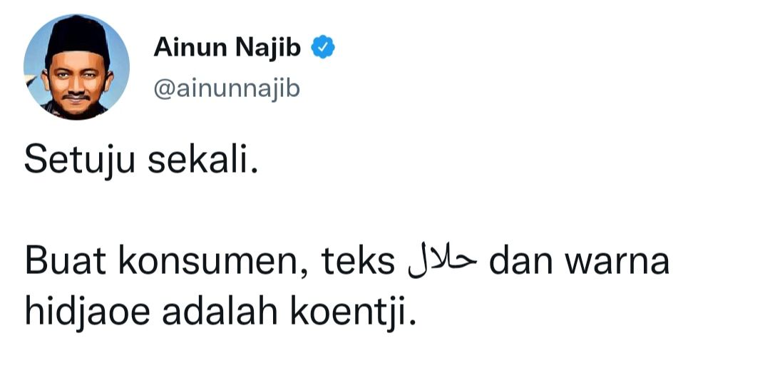 Cuitan Ainun Najib.