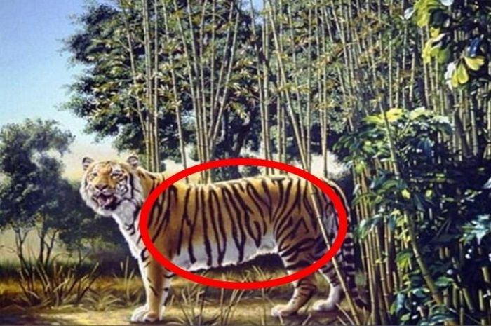 Tulisan TIGER pada tubuh harimau.
