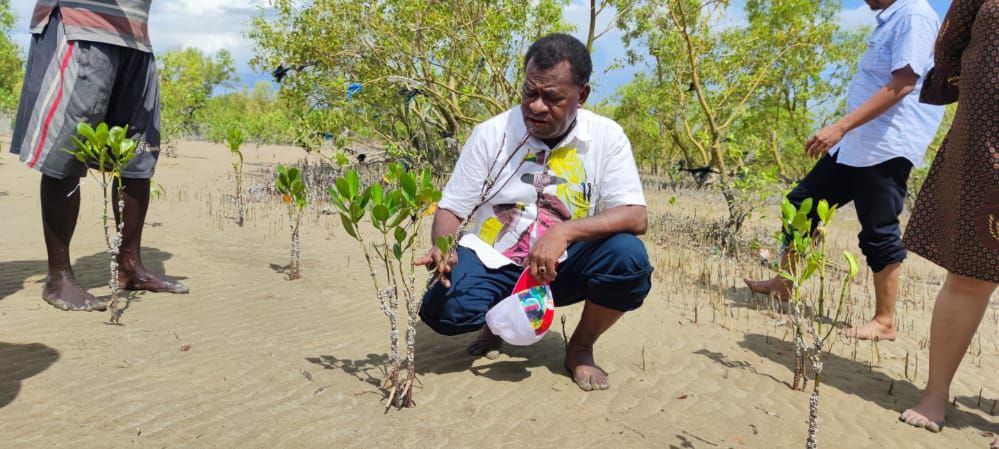 Kepala Dinas Kehutanan dan lingkungan hidup Provinsi Papua , Jan Jap Ormuseray, saat menanam pohon. 
