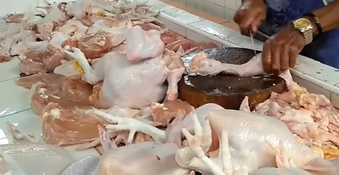 Ilustrasi: Daging Ayam