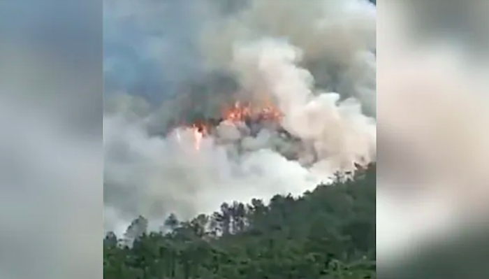 Kondisi pegunungan yang terbakar akibat pesawat China Eastern jatuh.