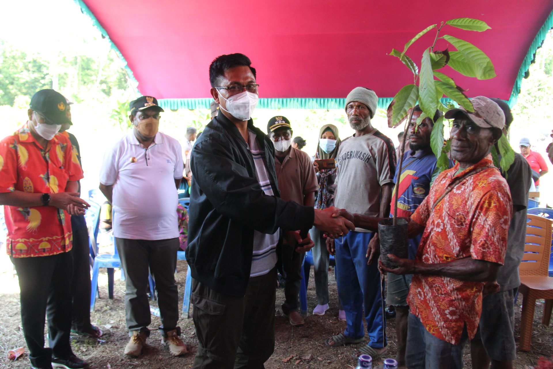 <em><strong>Direktur Penyerasian Pembangunan Daerah (Kemendes PDTT), Dr. Dwi Rudi Hartoyo, MS menyerahkan bibit kakao.