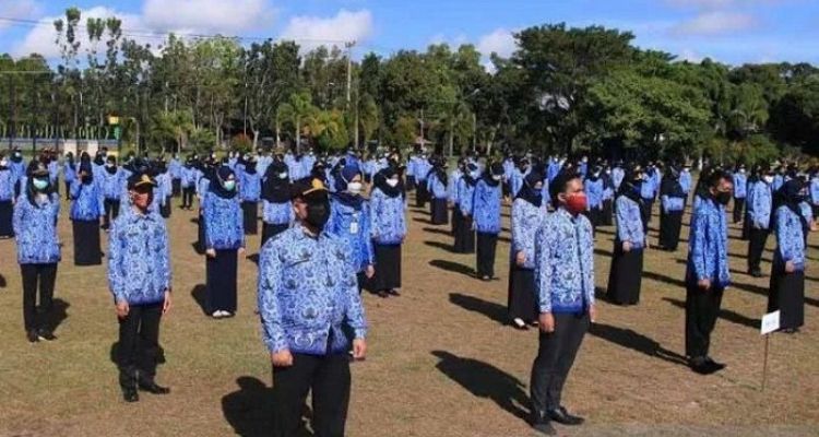 Ilustrasi PNS. Kabar Teranyar PPPK dan PNS, Inilah 2 Tambahan Penghasilan di Luar Gaji dan Tukin