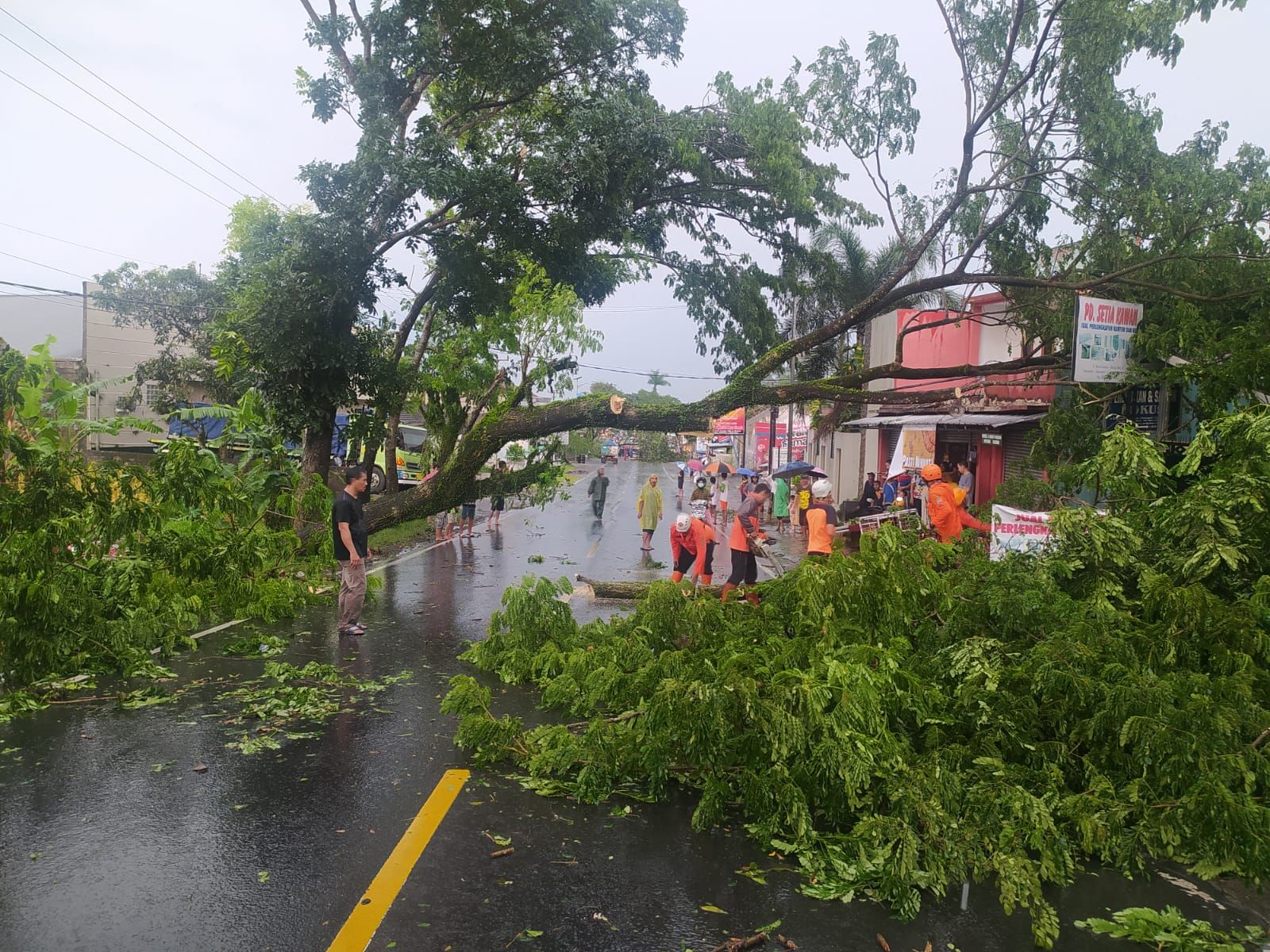 Sejumlah pohon di wilayah Kecamatan Cijeungjing atau jalur Ciamis menuju Banjar, tumbang akibat hujan deras dan angin kencang, Selasa 29 Maret 2022.*
