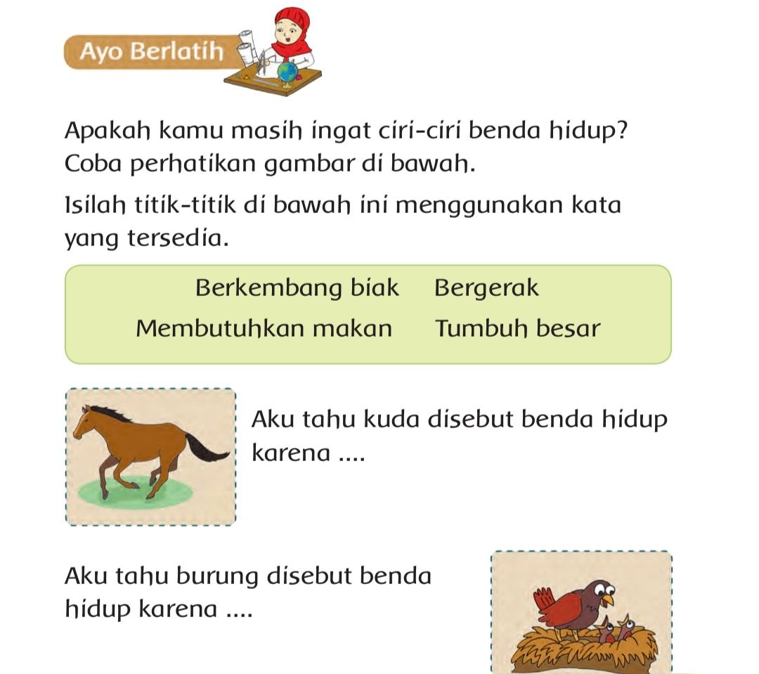 Kunci Jawaban Tema 7 Kelas 1 SD/MI Halaman 41 Subtema 1 Benda, Hewan, dan  Tanaman di Sekitarku - Metro Palembang News