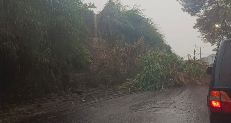 Pohon tumbang di Jalan Raya Tangkuban Perahu Lembang Bandung Barat pada hari ini Minggu, 3 April 2022.