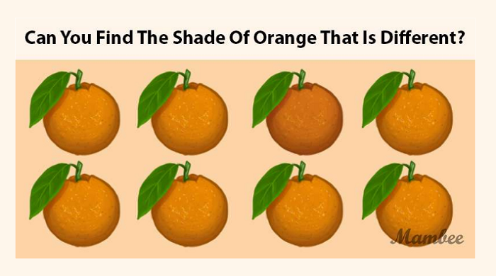 Coba temukanlah mana jeruk yang warnanya berbeda pada gambar tes fokus kali ini untuk buktikan mata kamu setajam silet. 