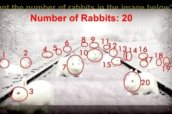 Jumlah keseluruhan kelinci dalam tes psikologi.