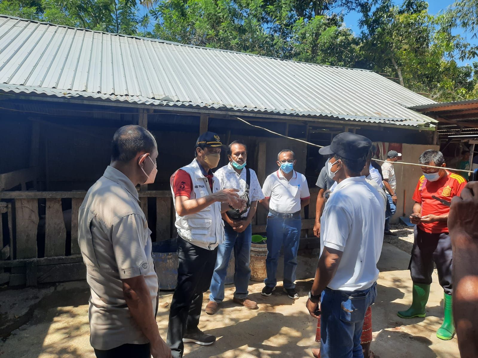 Bupati bersama Wakil Bupati dan Sekda Belu saat meninjau langsung ternak babi kelompok Latipu