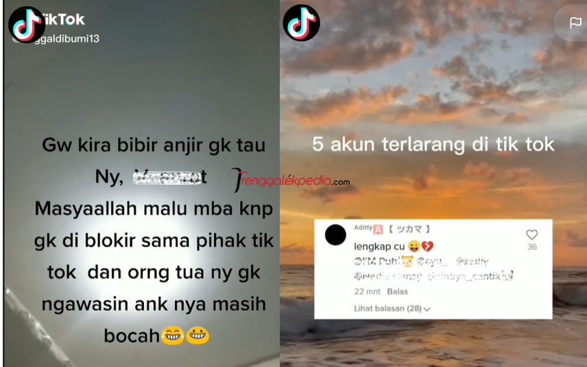 HEBOH! Gambar Profil atau PP Akun Milik Gadis Kecil Viral di TikTok