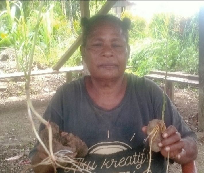 Mama Susan Sanggrangbano, Saat Menunjukan Dua Makanan Local Suku Genyem, Ubi Gula dan Syapu. Richard (PP)  