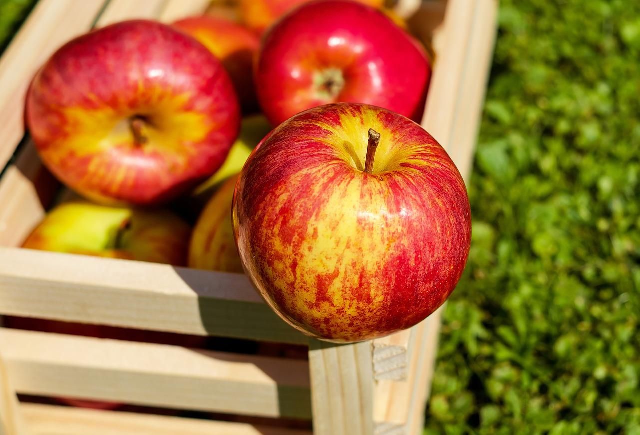 Manfaat buah apel