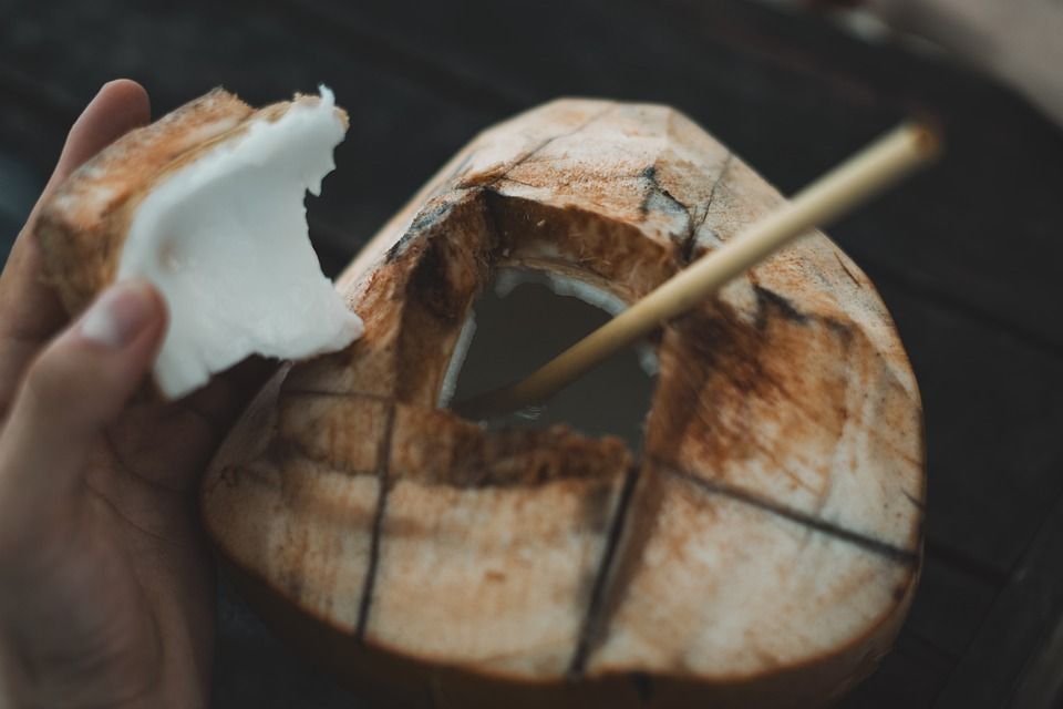 Apakah air kelapa muda bisa menurunkan panas