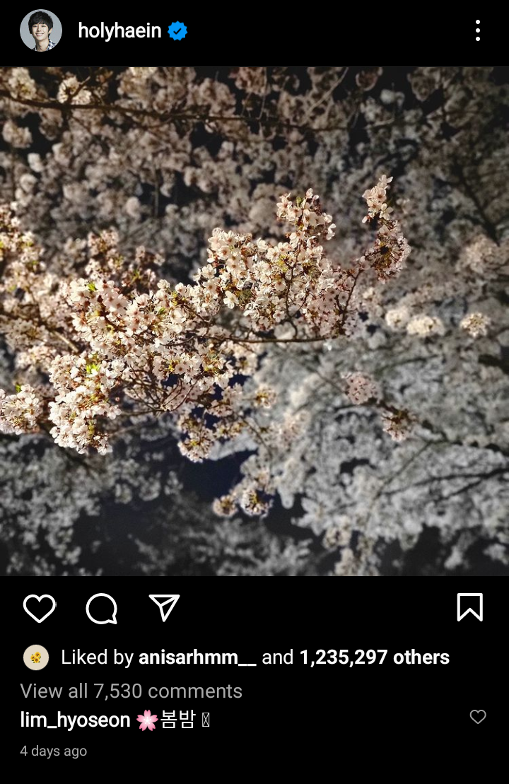 postingan bunga sakura di akun instagram Jung Hae In.