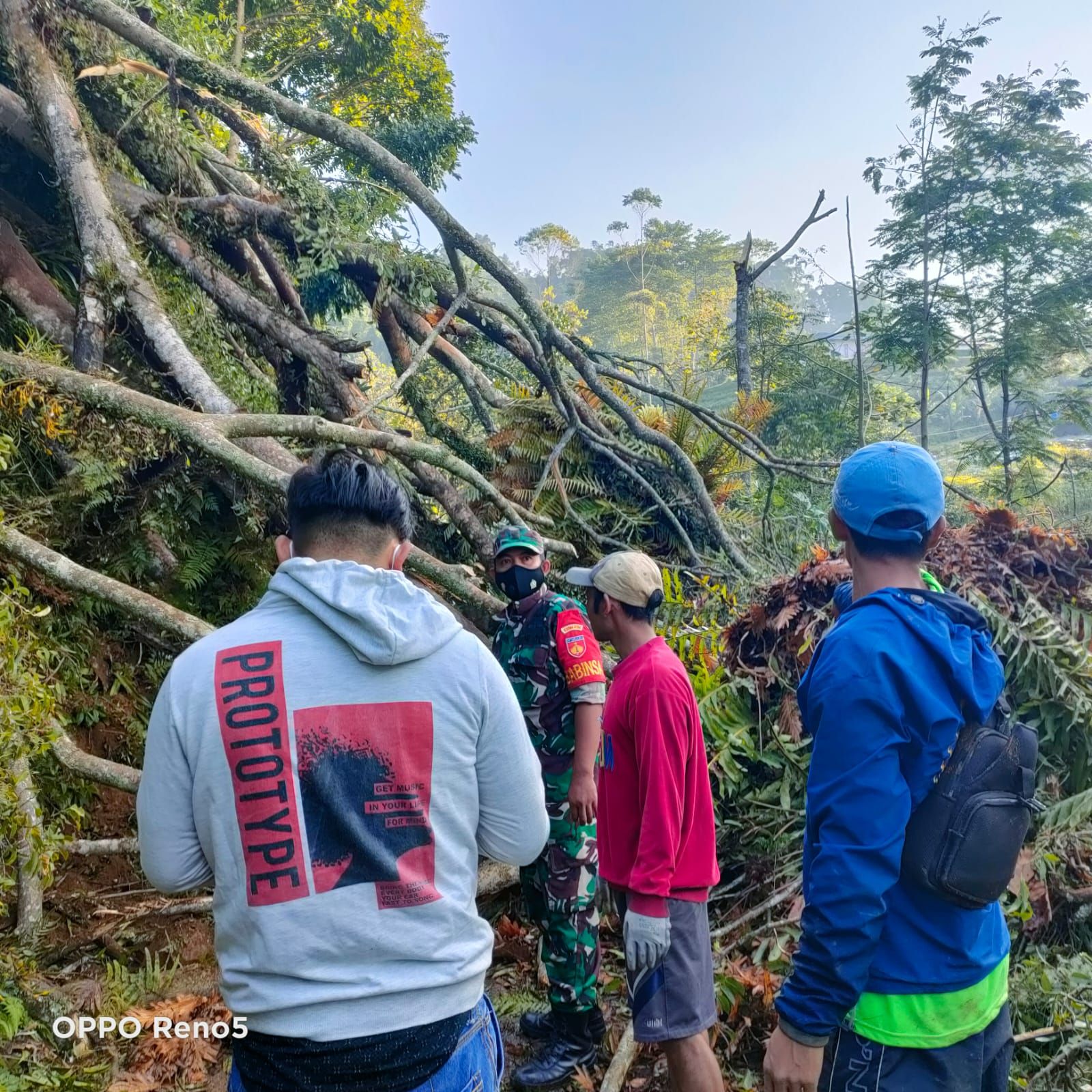 Kondisi pohon beringin yang tumbang di Desa Giritirta, Kecamatan Pejawaran (17/4)