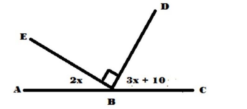 Contoh Butir Soal Ulangan Harian Matematika SMP Kelas 7: Sudut dan Garis Sejajar dan Kunci Jawaban Paket 2