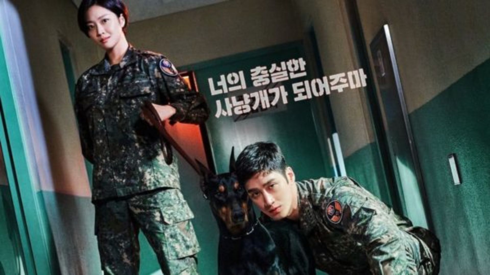 Ahn Bo Hyun dalam Serial Military Prosecutor Doberman