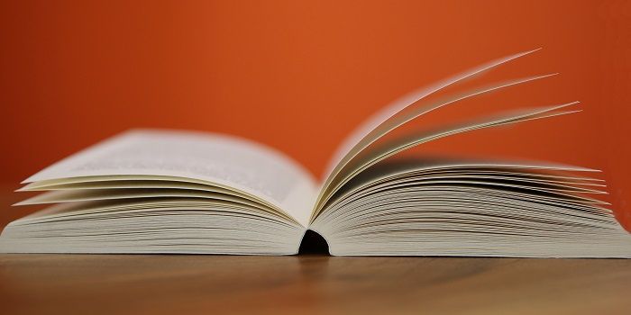 Ilustrasi soal dan kunci jawaban Bahasa Inggris kelas 8, Chapter 11 halaman 193 lengkap dan terbaru 2022.