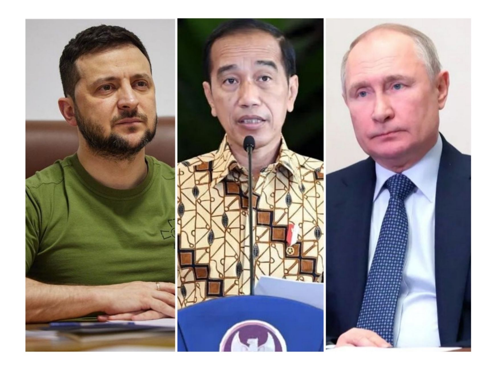 Jokowi telepon Putin usai dikabarkan undang Zelensky ke KTT G20 Bali.