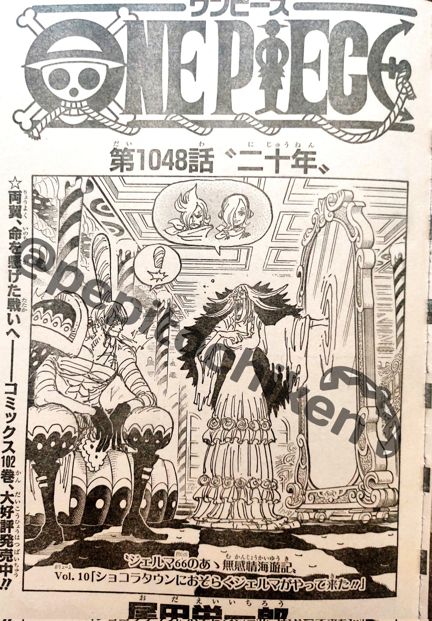 Cover One Piece chapter 1048
