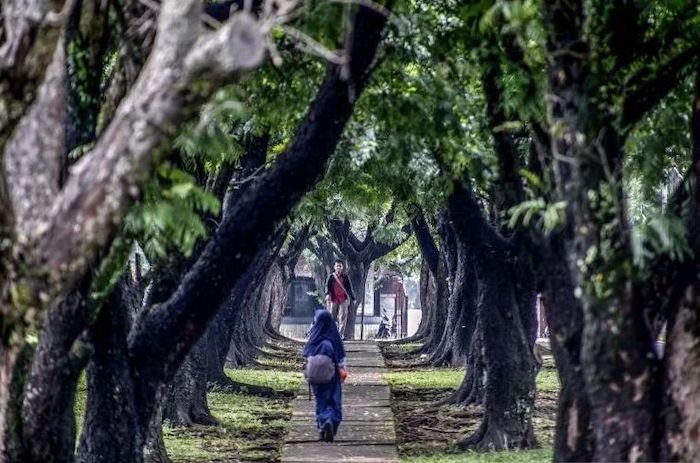 Piknik di Kebun Raya Bogor, 4 Spot Ini Jarang Dikunjungi Hanya Karena...