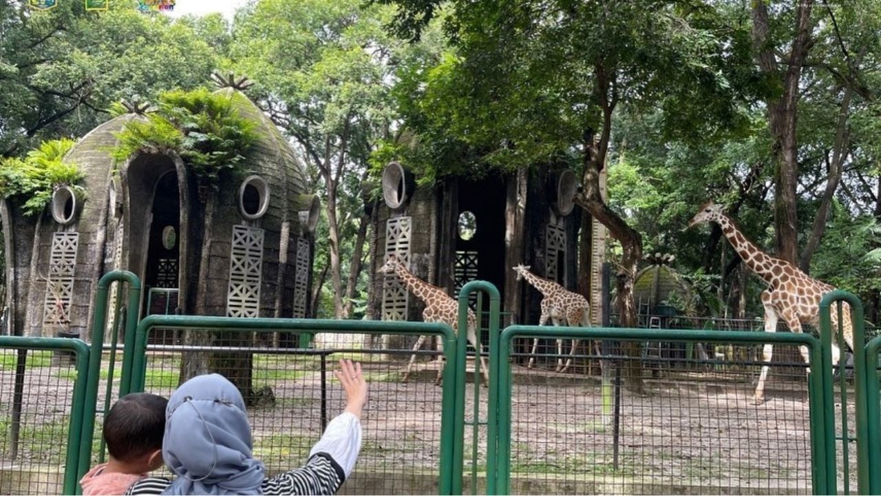 Liburan sekolah ke kebun binatang