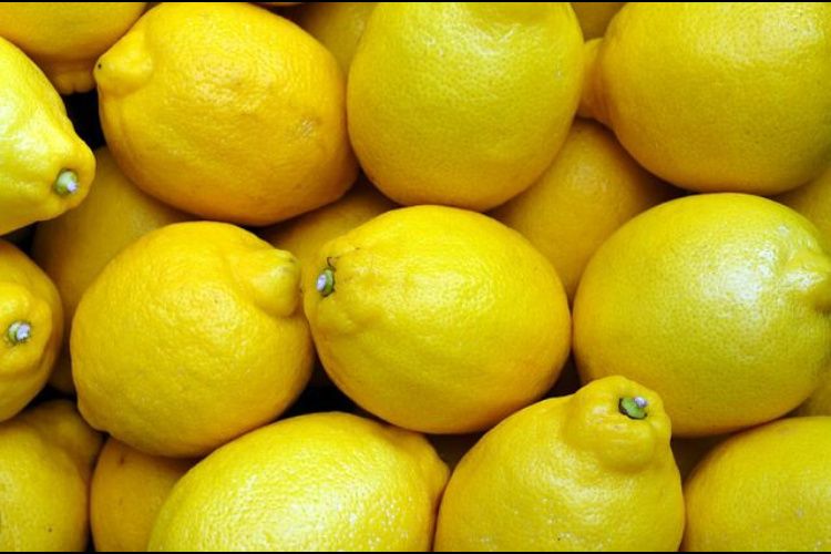 Lemon u