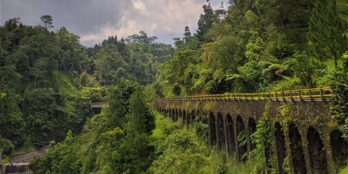 Plunyon Kalikuning di Sleman, Yogyakarta.