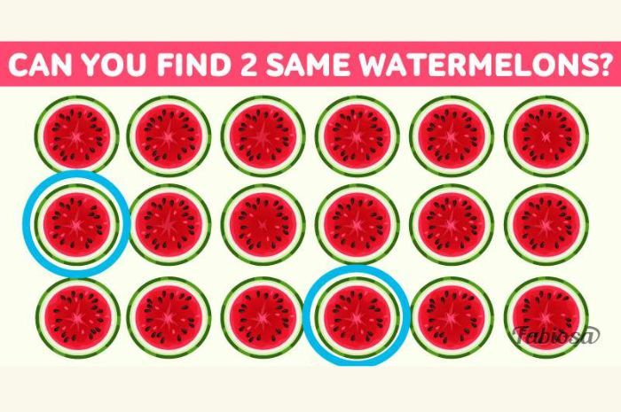 Dua semangka yang sama pada tes IQ.