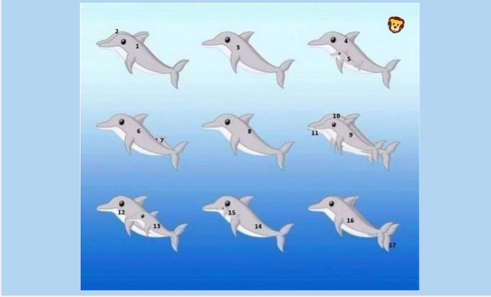 Ada 17 lumba-lumba pada gambar ini.*