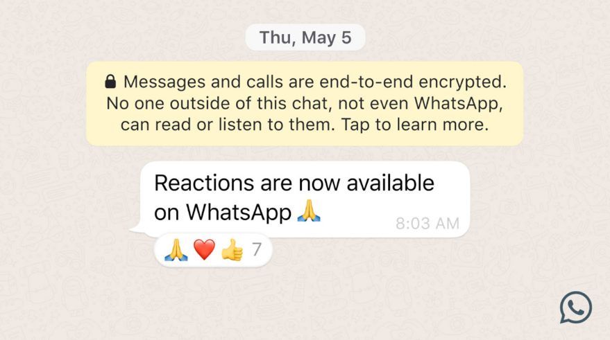 Fitur WhatsApp Message Reactions