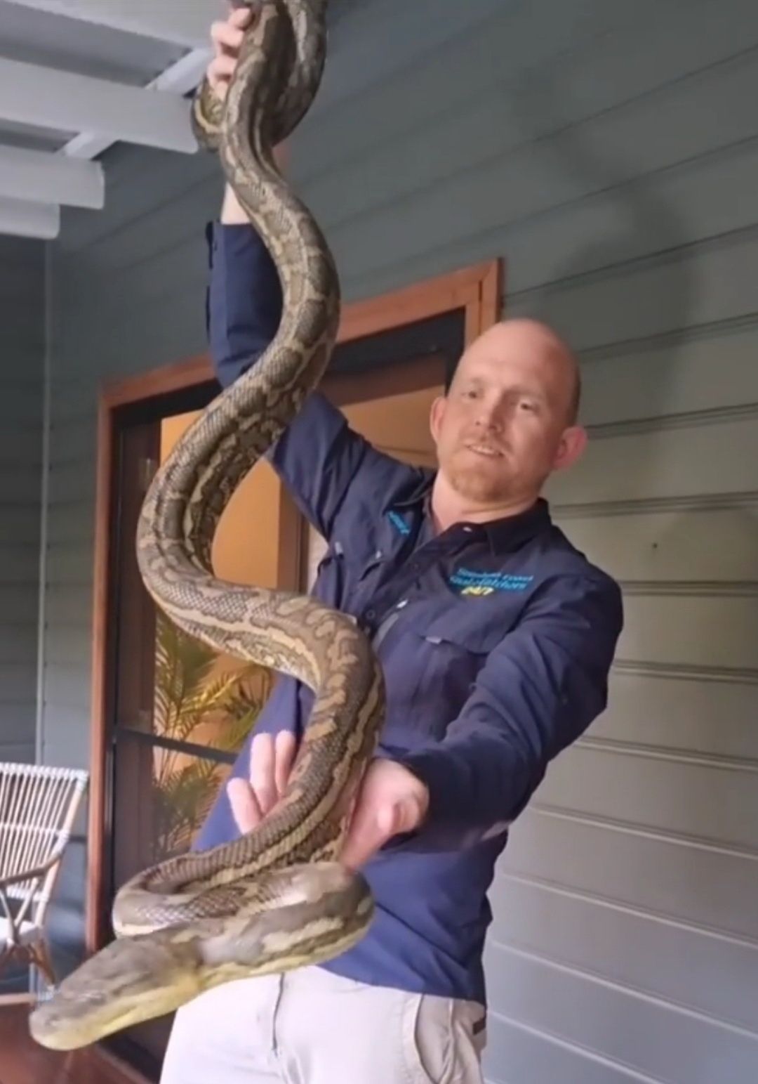 Keluarga pemilik rumah menghubungi spesialis reptil Sunshine Coast Snake Catchers 24/7 untuk menangani masalah ini./  