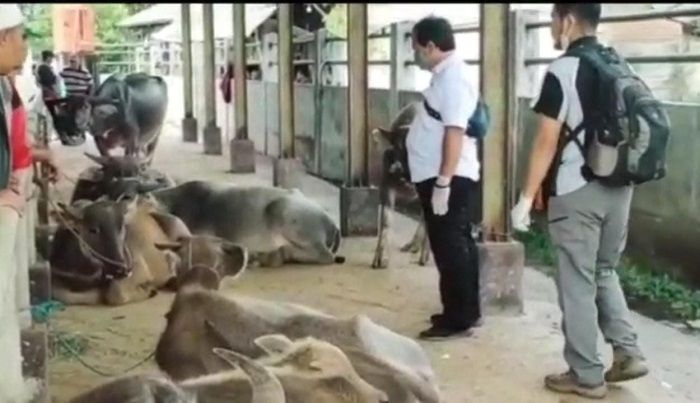 Petugas Kesmavet Dinas Pertanian, Ketahanan Pangan dan Perikanan (DPKPP) Kabupaten Tasikmalaya melakukan pemeriksaan kesehatan hewan di Pasar Hewan Manonjaya Kabupaten Tasikmalaya, Rabu 11 Mei 2022. Hasilnya, 17 hewan mengidap penyakit mulut dan kuku.*