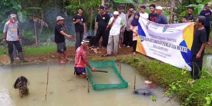 Puluhan warga Desa Baregbeg Kecamatan Baregbeg yang tergabung dalam 15 kelompok tani mengikuti bimtek serta pelatihan budidaya ikan gurame di desa tersebut, Jumat 13 Mei 2022.*